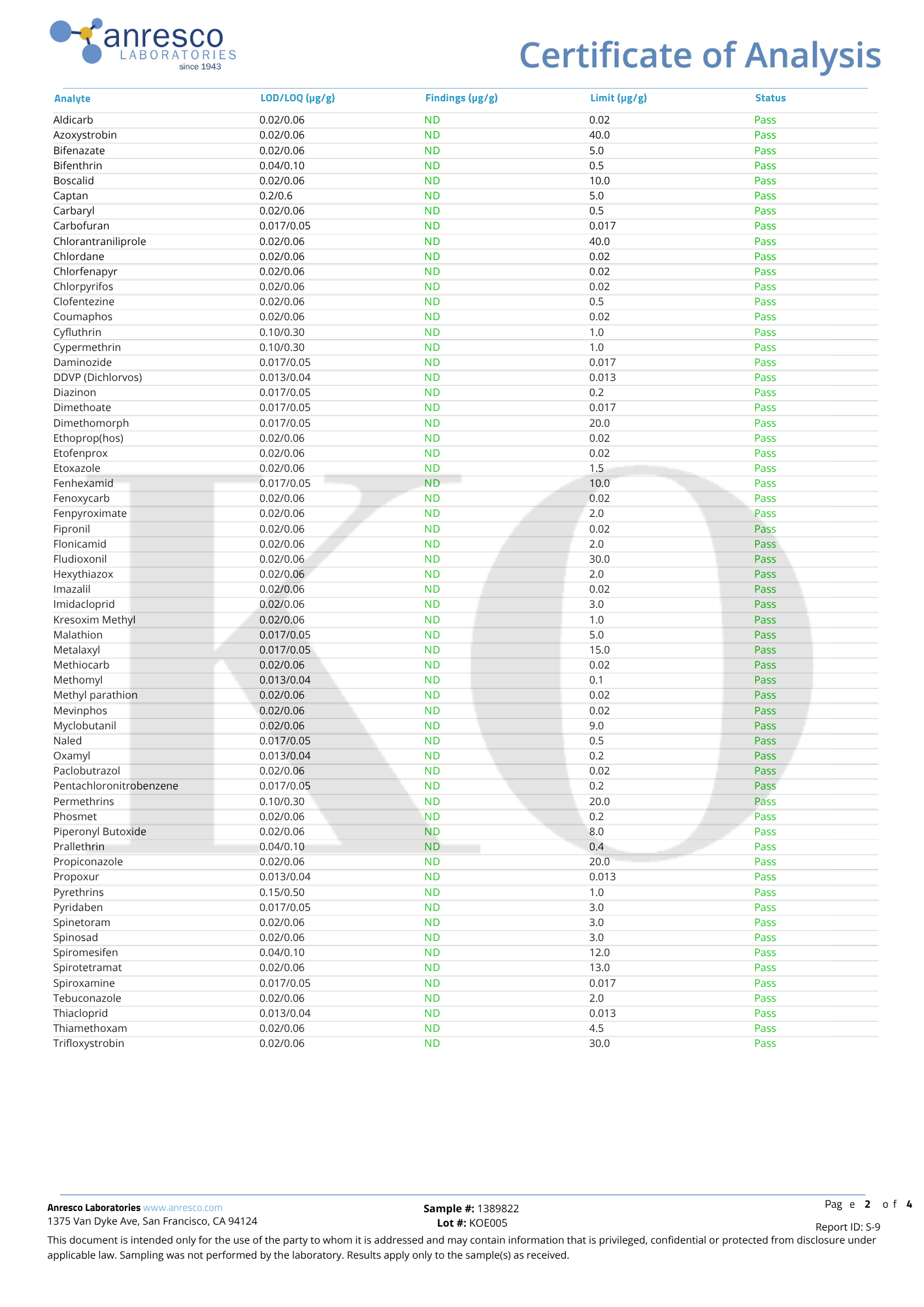 １０粒入り：PUNCH DRUNKER GUMMMIES mango