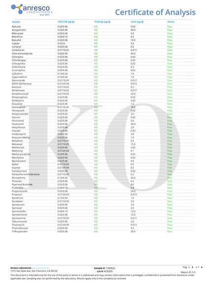 １０粒入り：PUNCH DRUNKER GUMMMIES mango