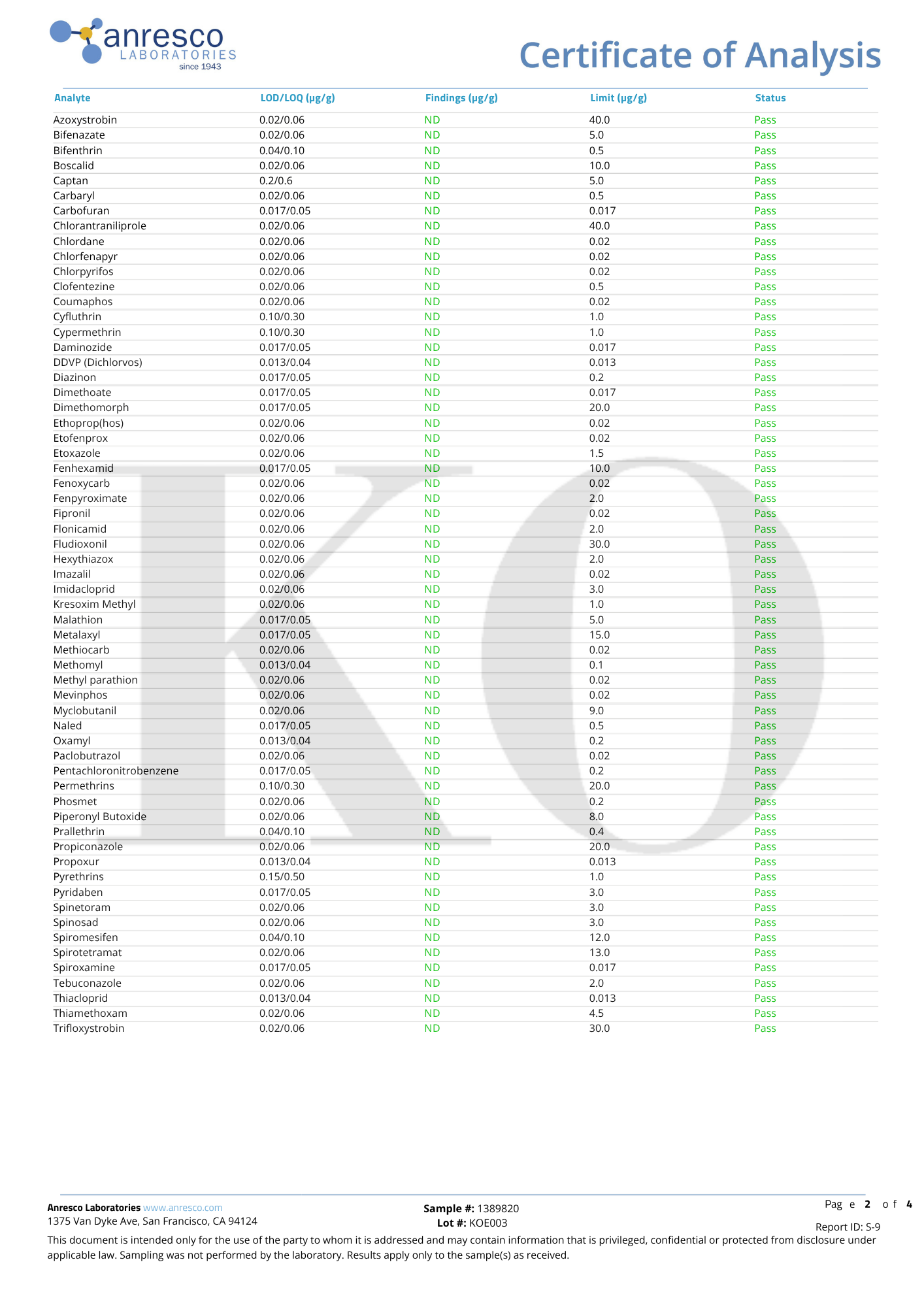 １０粒入り：HARD PUNCHER グミ Body Blow