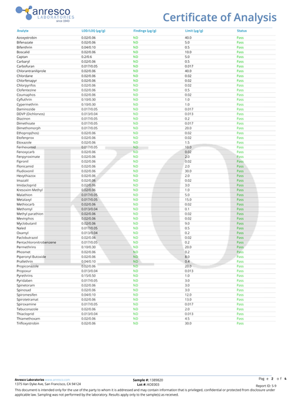 １０粒入り：HARD PUNCHER グミ Body Blow
