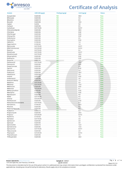 １０粒入り：HARD PUNCHER GUMMIES UPPERCUT