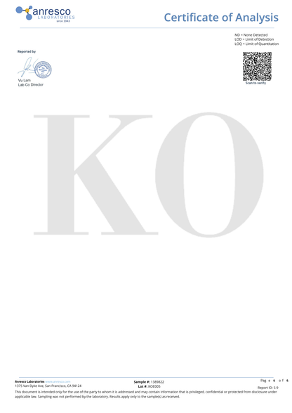 １０粒入り：PUNCH DRUNKER GUMMMIES mango