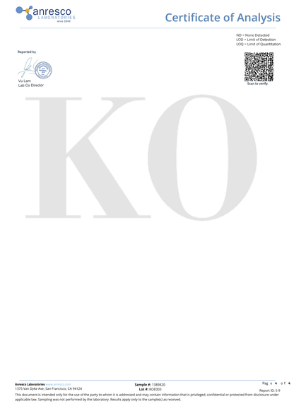 １０粒入り：HARD PUNCHER グミ Body Blow