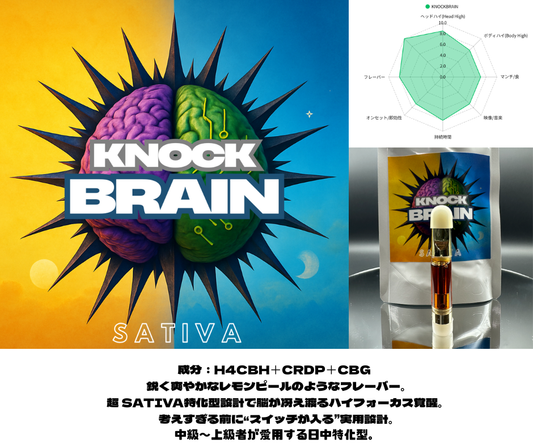 KNOCK BRAIN｜超SATIVA特化リキッド/1ml