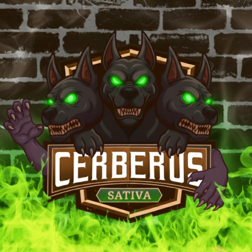 CERBERUS SATIVA -HHBD×H4CBH×CRDPサティバリキッド- 1mL – Knockout CERBERUS SATIVA -HHBD×H4CBH×CRDPサティバリキッド- 1mL – Knockout